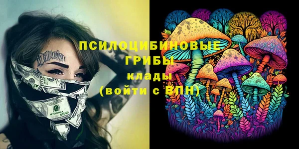 ешки Белоозёрский