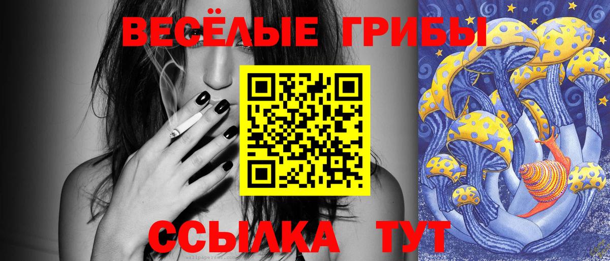 Псилоцибиновые грибы Magic Shrooms  Вход с VPN  Гулькевичи 